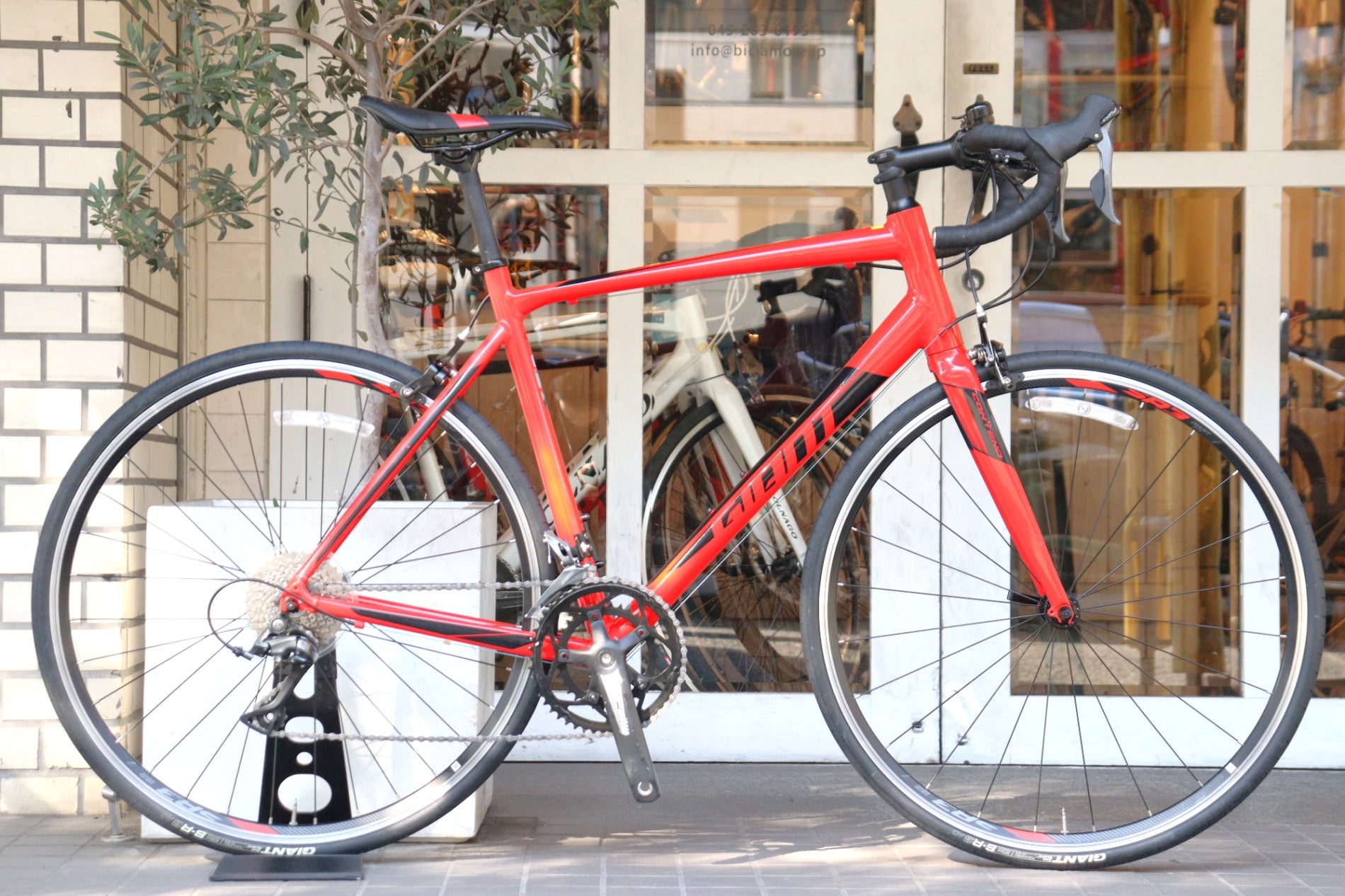 ジャイアント GIANT コンテンド CONTEND 2 2019モデル MLサイズ シマノ