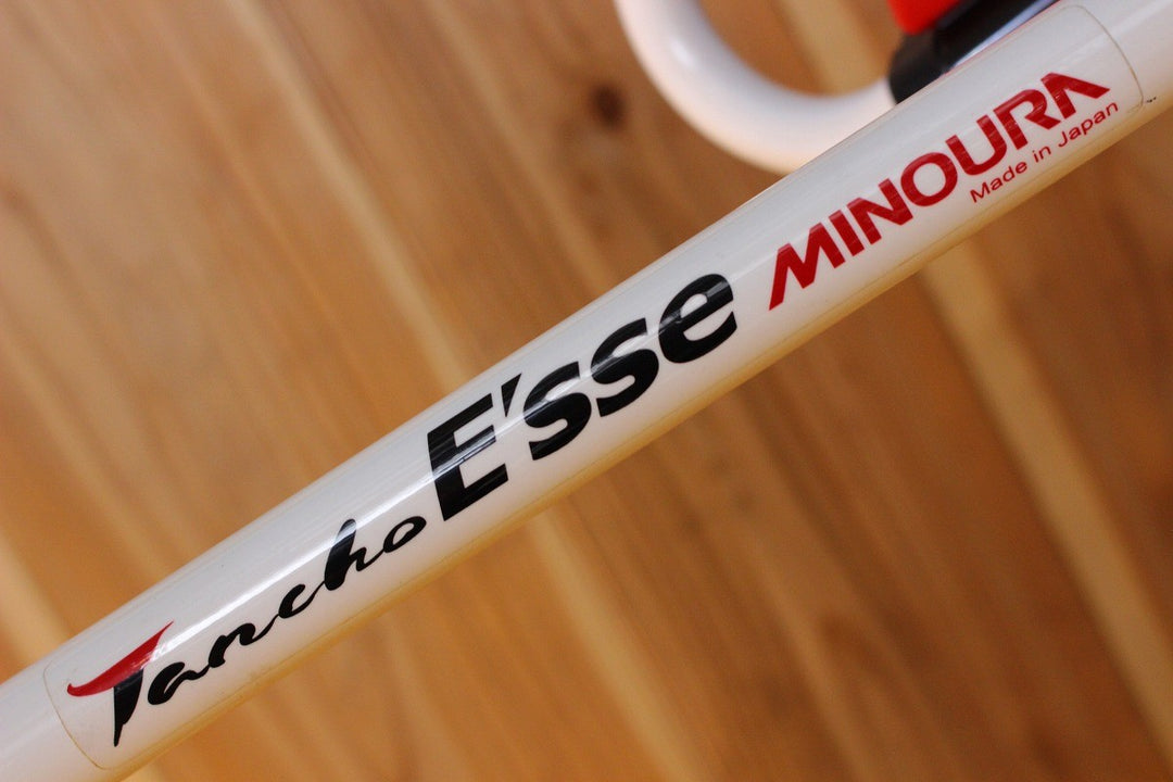 ミノウラ MINOURA タンチョウ TANCHO ESSE DS-2100 バイクスタンド サイクルスタンド 縦横両用 【名古屋店】