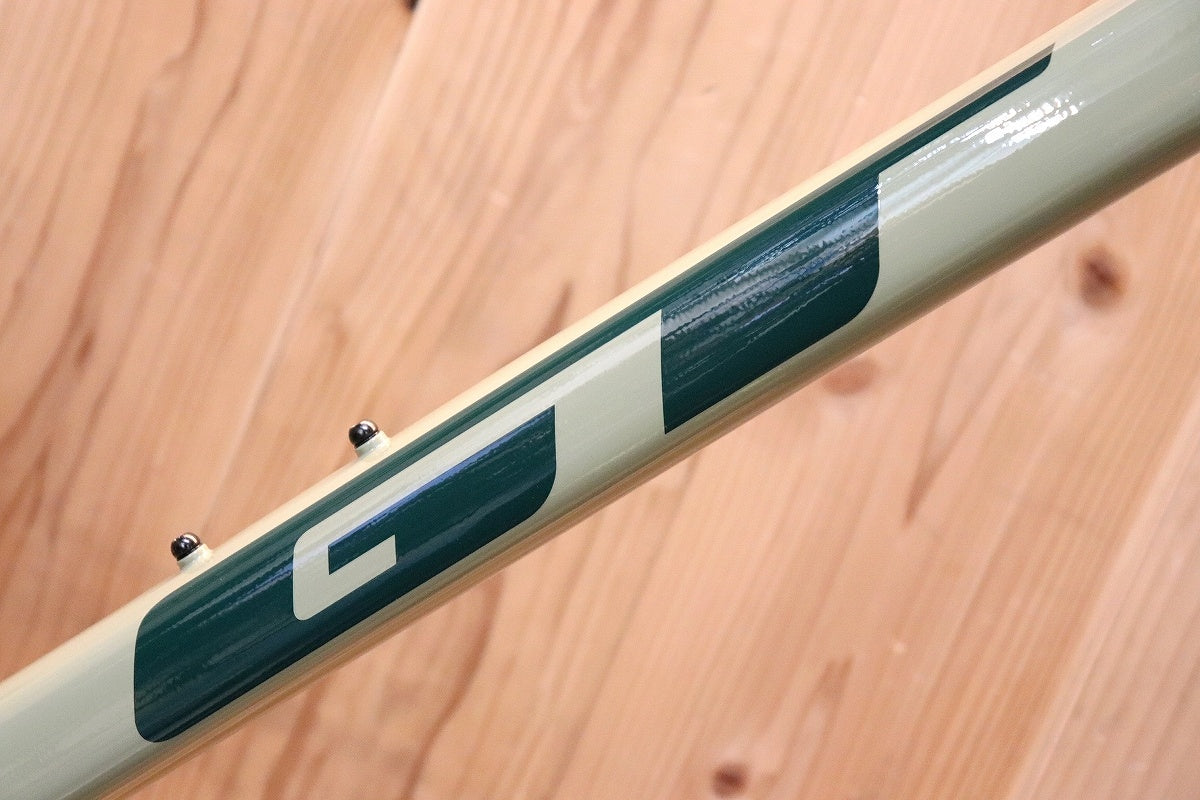 ジーティー GT ザスカー ZASKAR LT EXPERT 2022年モデル Mサイズ