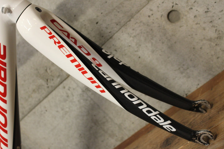 キャノンデール CANNONDALE キャド CAAD9 2010モデル 48サイズ アルミ ロードバイク フレームセット 【福岡店】