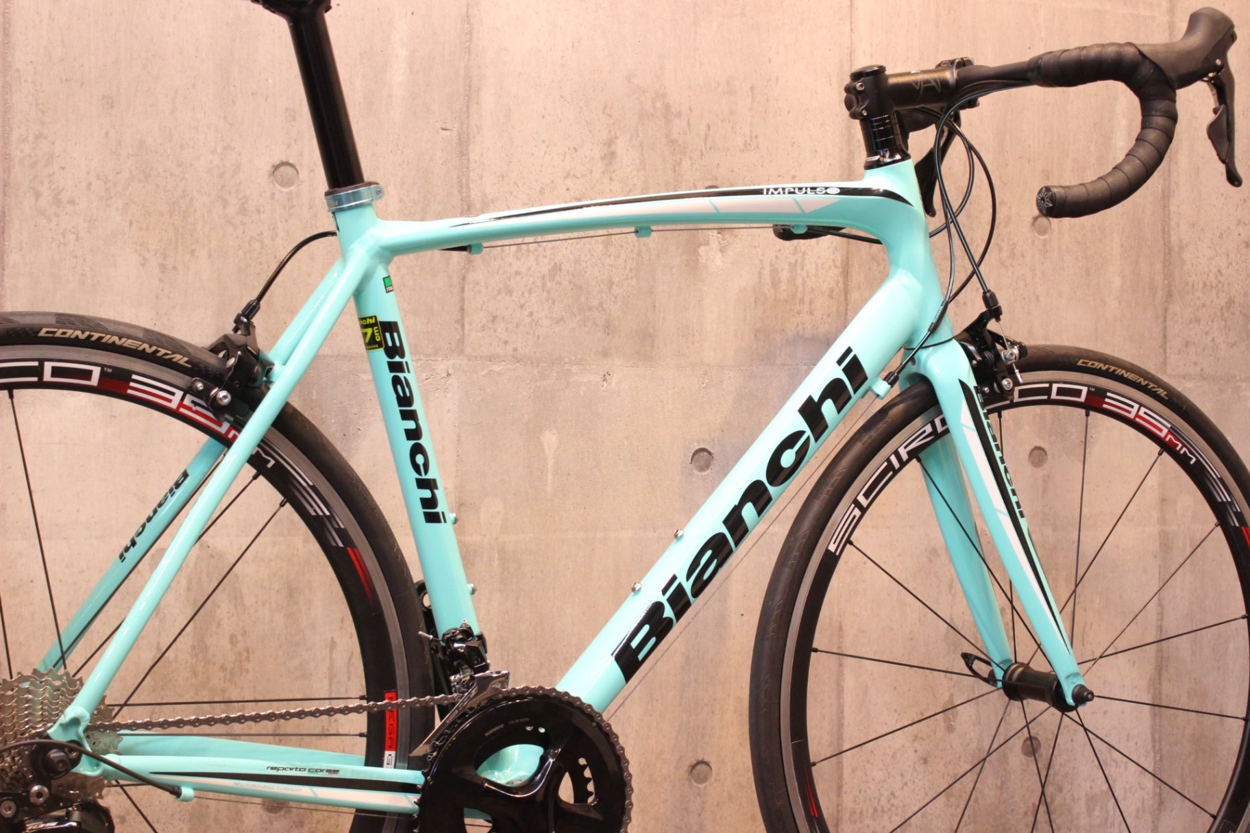 Bianchi IMPULSO 2019 53size フレーム Bianchi IMPULSO 2019 53size