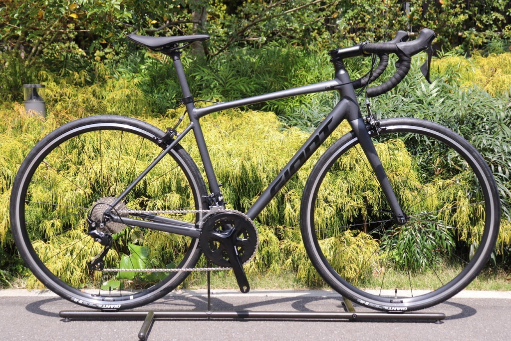 新品未使用 ジャイアント GIANT コンテンド CONTEND 0 2024 Mサイズ