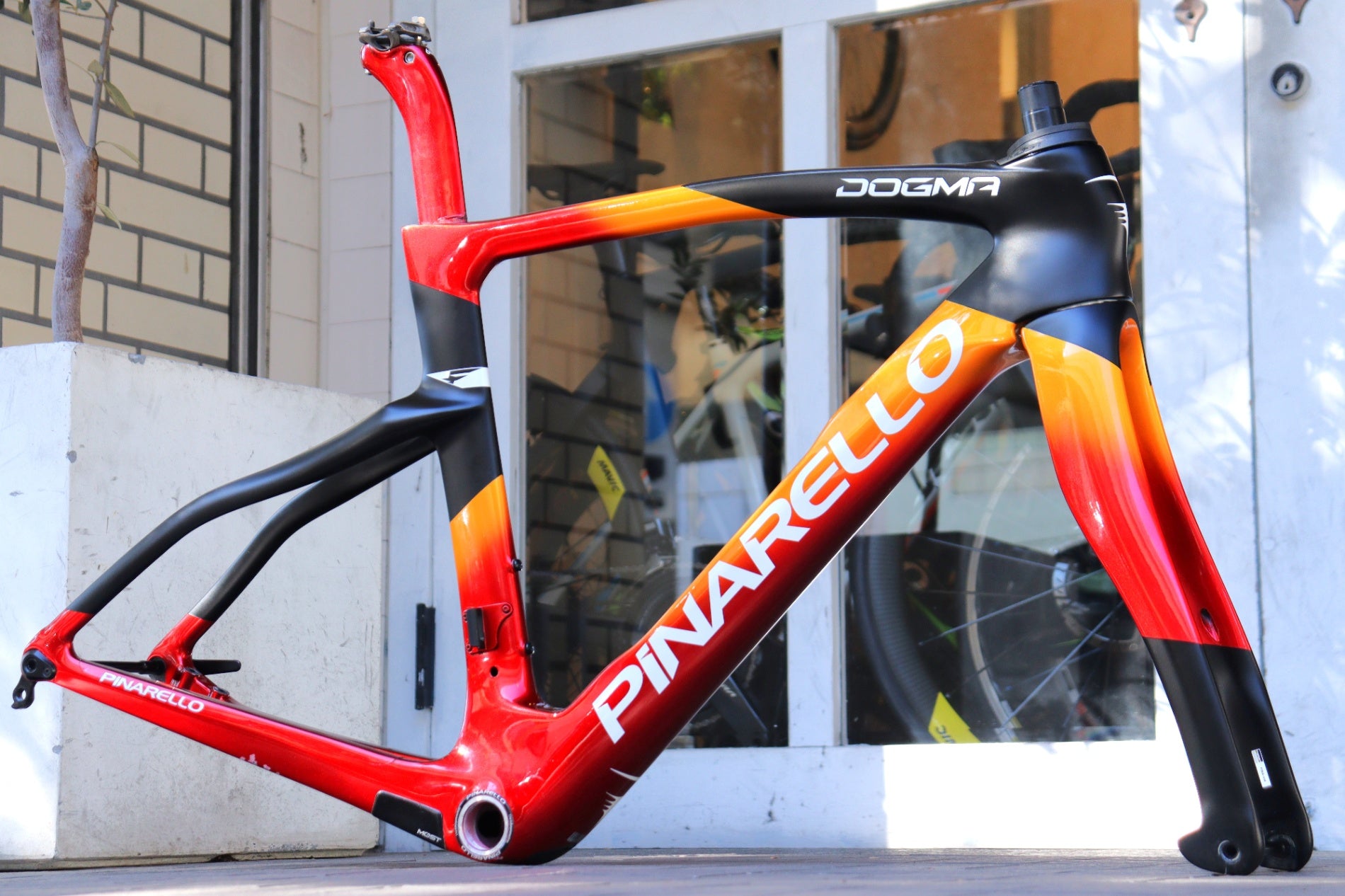 ピナレロ PINARELLO ドグマ DOGMA F DISK 2024モデル 500サイズ