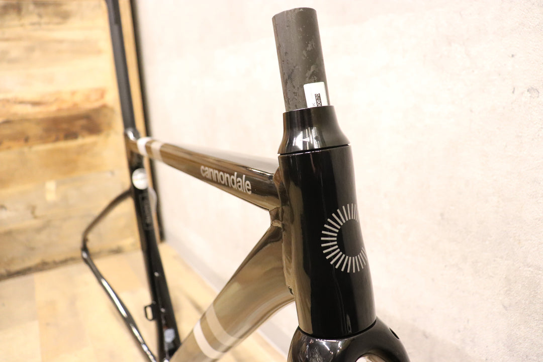 キャノンデール CANNONDALE キャド CAAD13 2020年 48サイズ アルミ フレームセット 【さいたま浦和店】