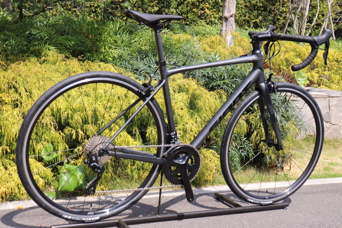 新品未使用 ジャイアント GIANT コンテンド CONTEND 0 2024 Mサイズ