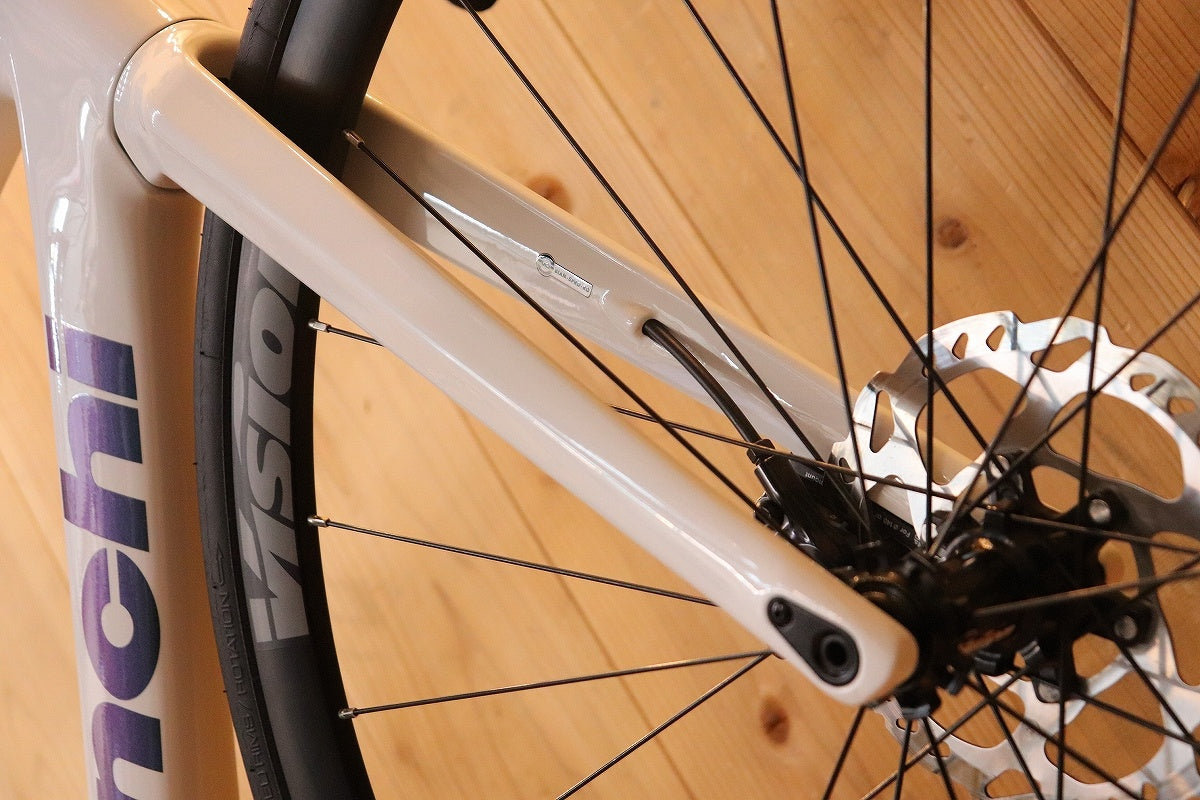 ビアンキ BIANCHI スプリント SPRINT DISC 2025年モデル 53サイズ