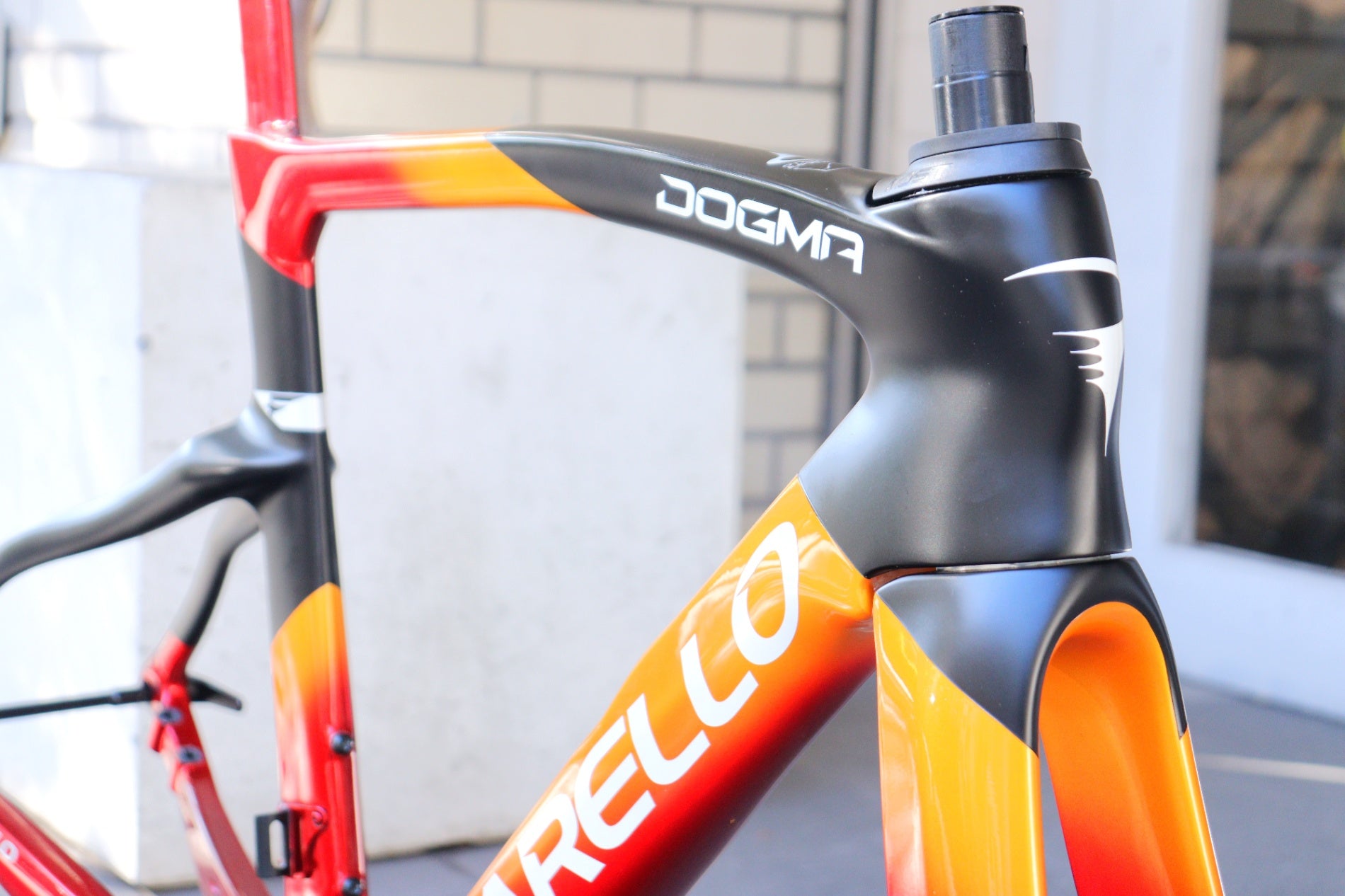 ピナレロ PINARELLO ドグマ DOGMA F DISK 2024モデル 500サイズ