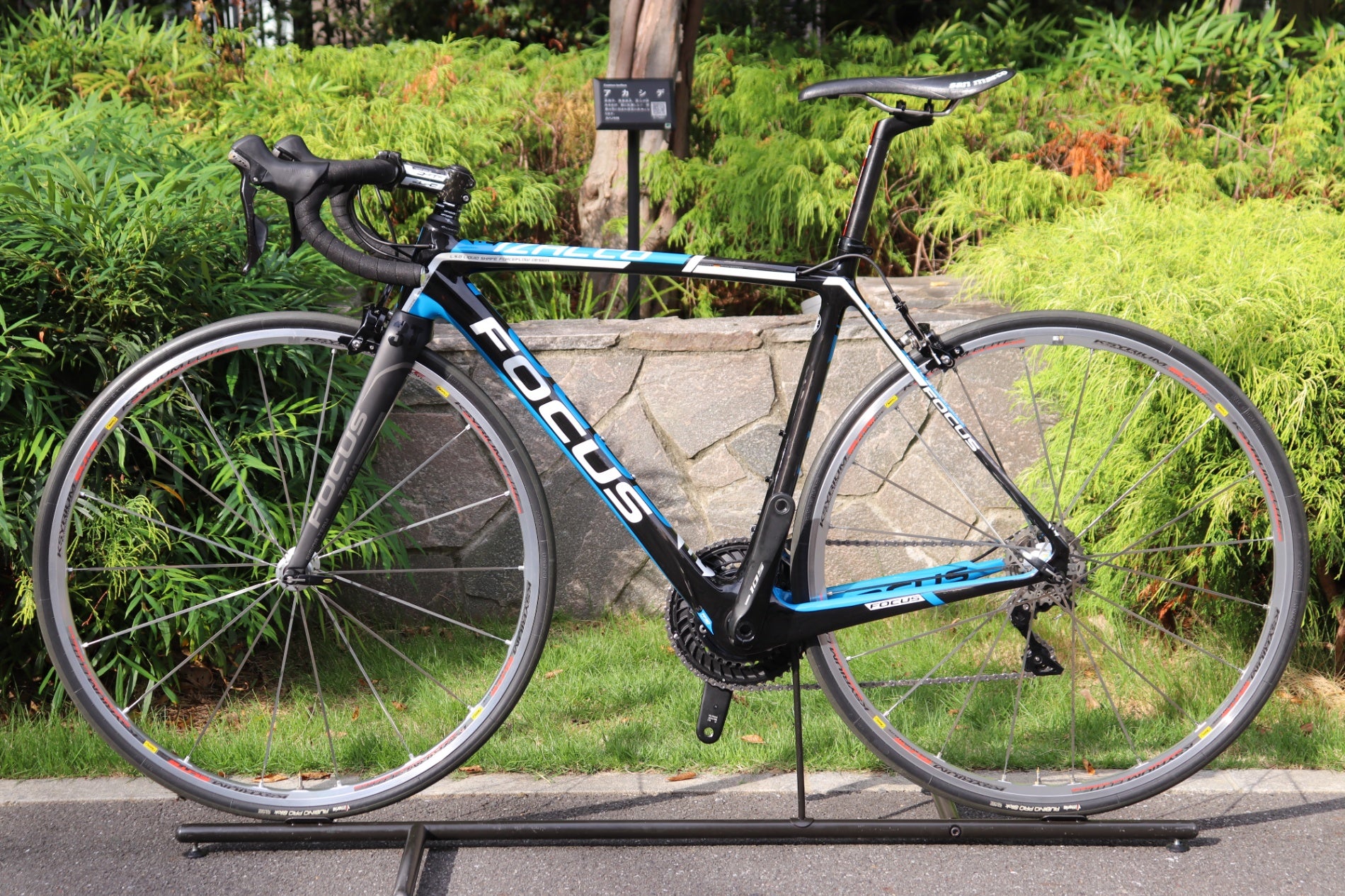 フォーカス FOCUS イザルコチーム IZALCO TEAM SL 2014年 Sサイズ