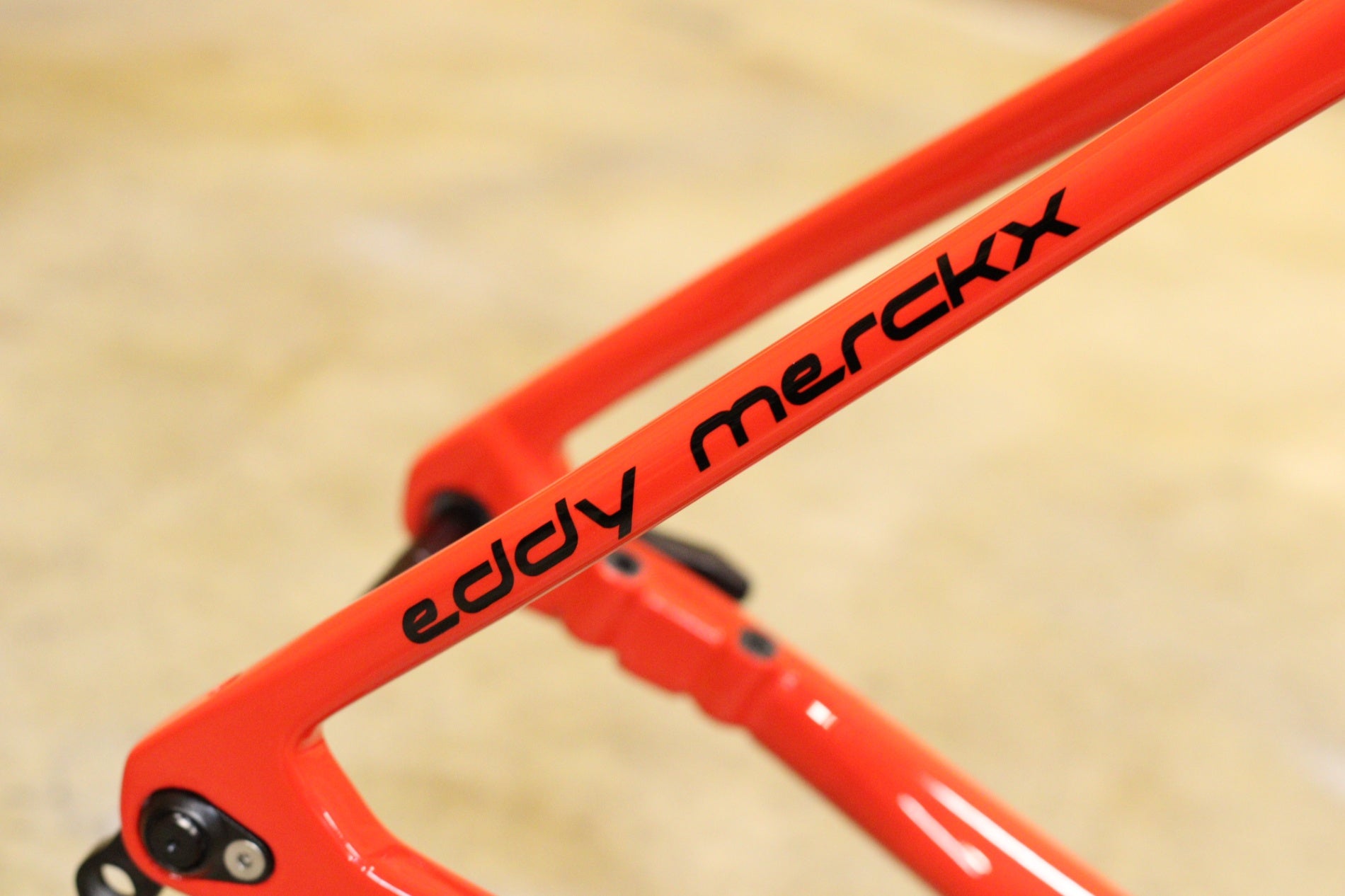 未使用品 エディメルクス EDDY MERCKX エークロ70 eeklo70 2020 50
