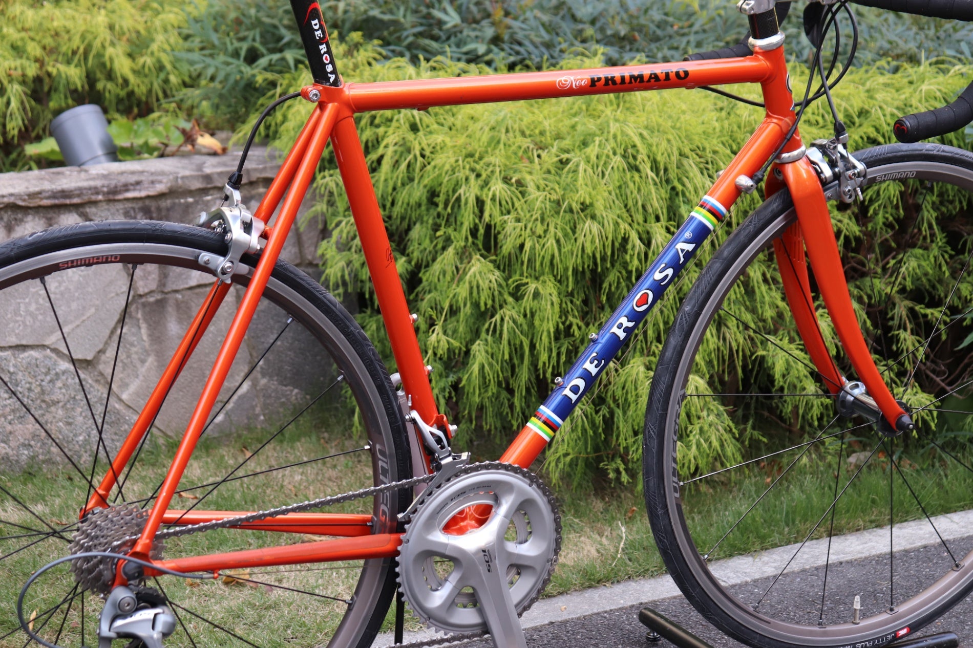 DE ROSA Neo Primato ロードバイクフレーム デローザ DE ROSA ネオプリマート NEO PRIMATO 53サイズ シマノ 105