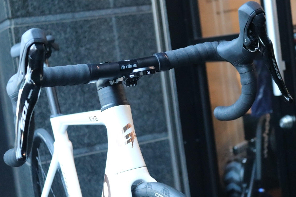 GUSTO COBRA EVO フレームセット COBRA EVO DB ELITE – GUSTO高士特