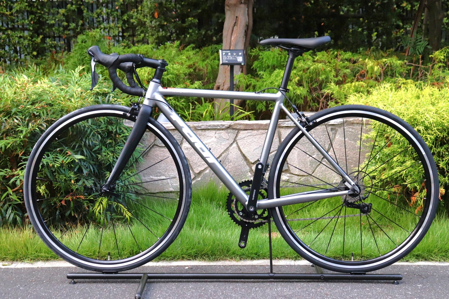 新品未使用 フジ FUJI ナオミ NAOMI 2023 49サイズ シマノ ソラ