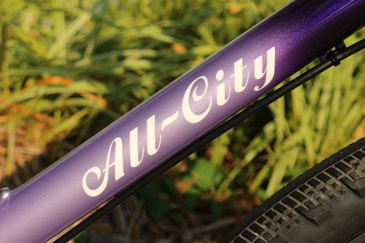 オールシティ ALL-CITY コスミックスタリオン COSMIC STALLION 2020 52サイズ GRX Di2 1×11S グラベル ロードバイク 【名古屋店】