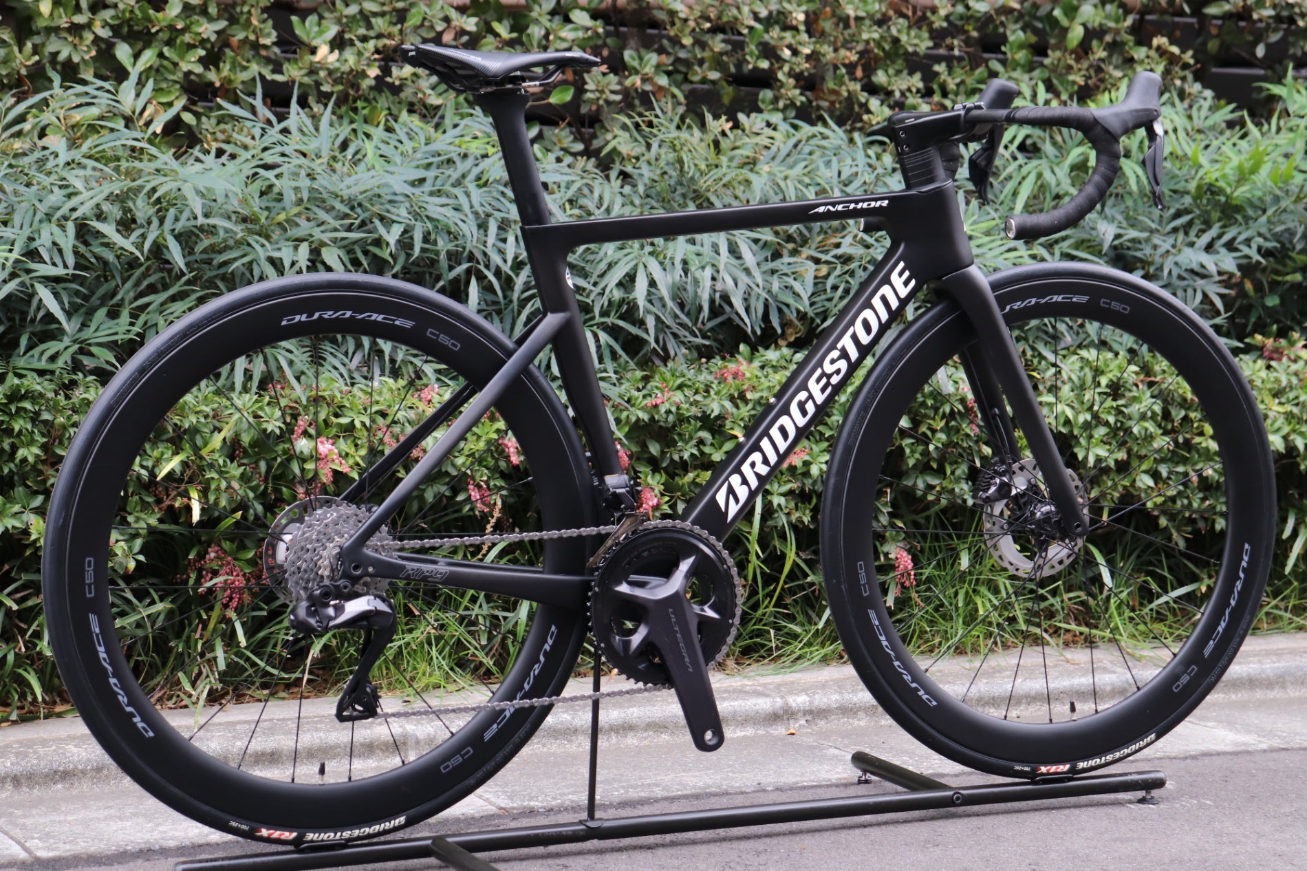 ブリヂストン アンカー BRIDGESTONE ANCHOR RP9 2022 490サイズ シマノ