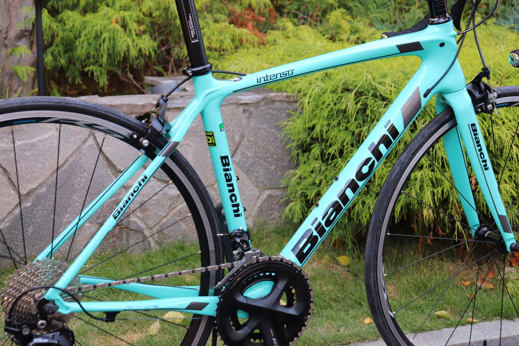 Bianchi　intenso（インテンソ）　53サイズ　カーボンロード ビアンキ BIANCHI インテンソ INTENSO 2020年 50サイズ シマノ 105
