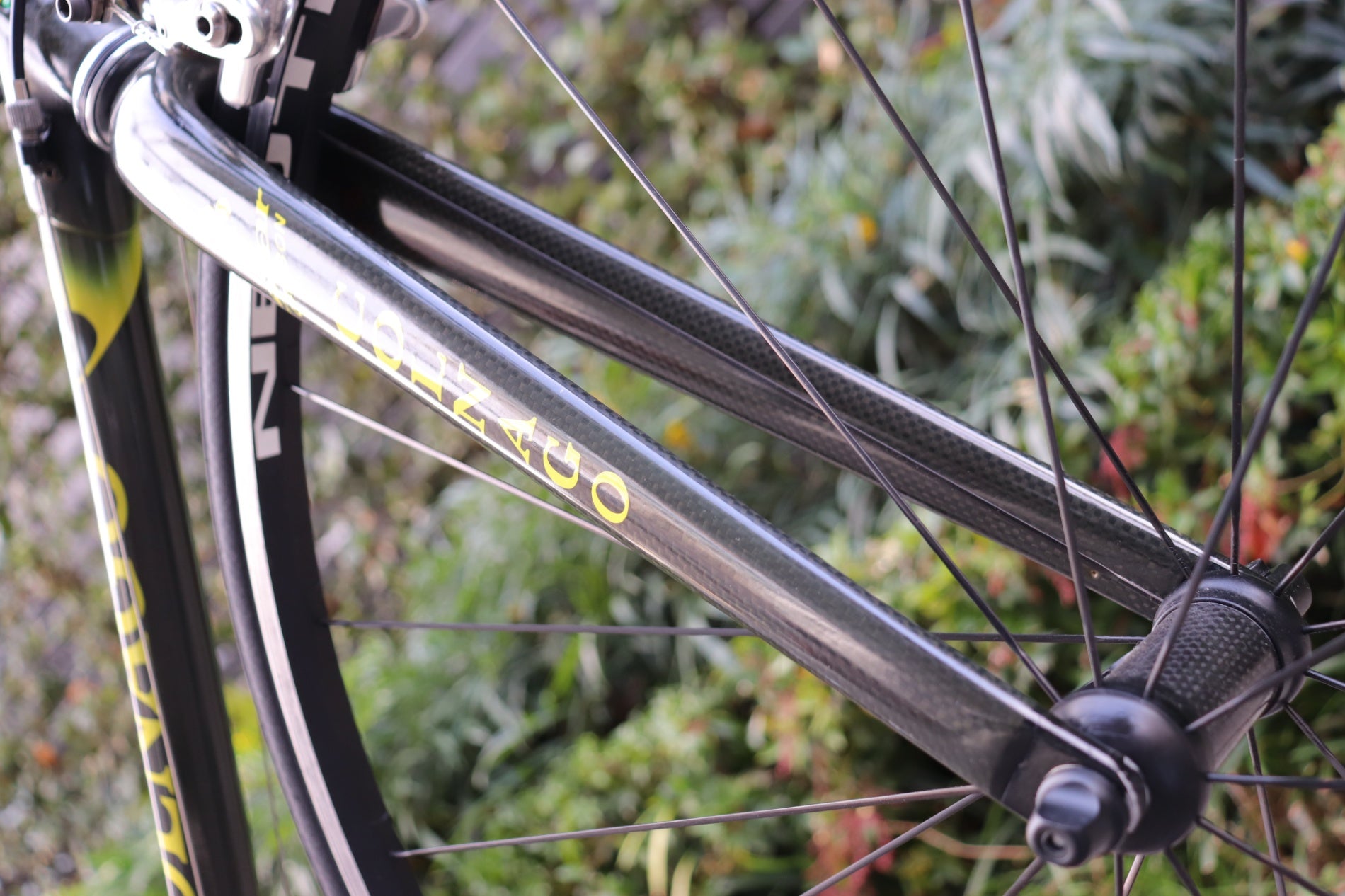 コルナゴ COLNAGO C40 2000年頃 55サイズ カンパニョーロ レコード 10S