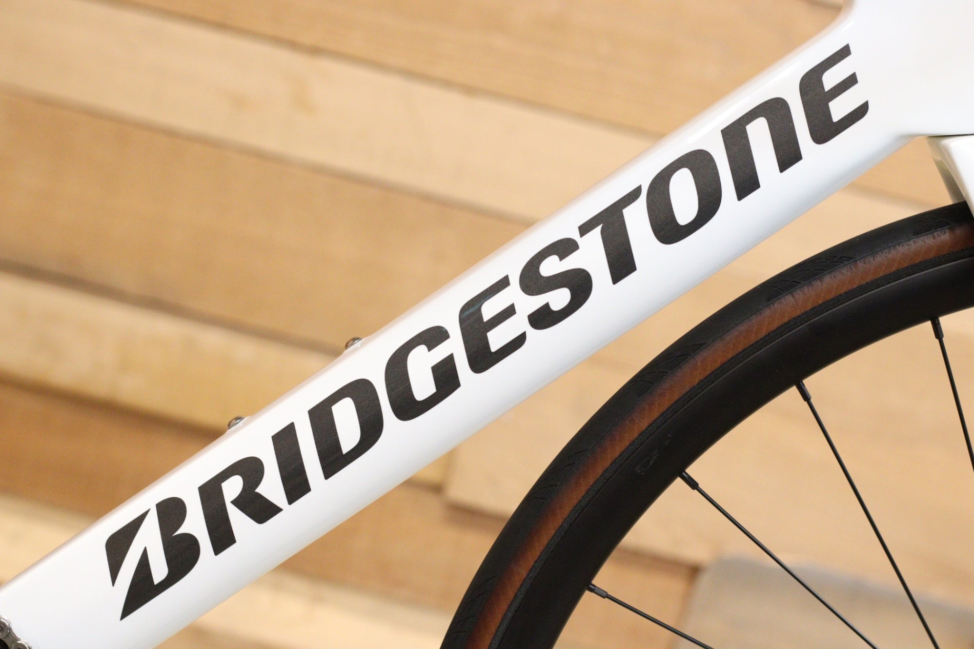 ブリヂストン アンカー BRIDGESTONE ANCHOR RP8 2024 490サイズ シマノ