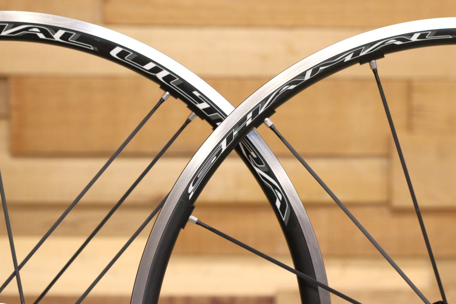 カンパニョーロ CAMPAGNOLO シャマル ウルトラ SHAMAL ULTRA 2-WAY FIT