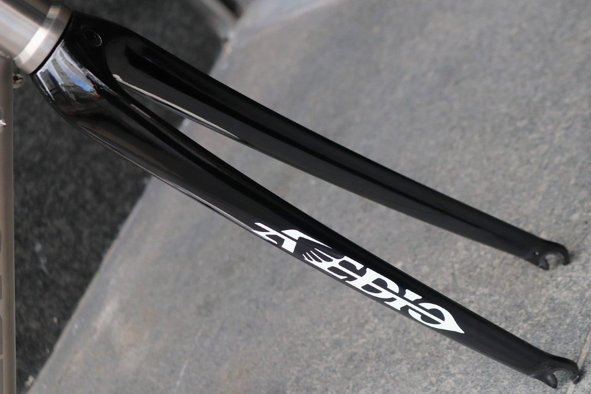 エヴァディオ AVEDIO ペガサス PEGASUS 2023モデル 530サイズ チタン