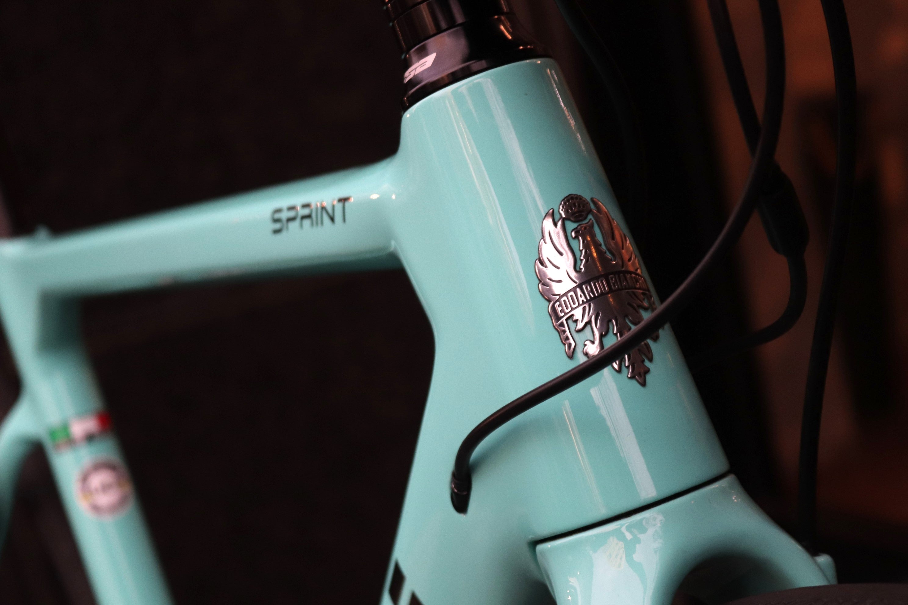 ビアンキ BIANCHI スプリント ディスク SPRINT DISC 2020 53