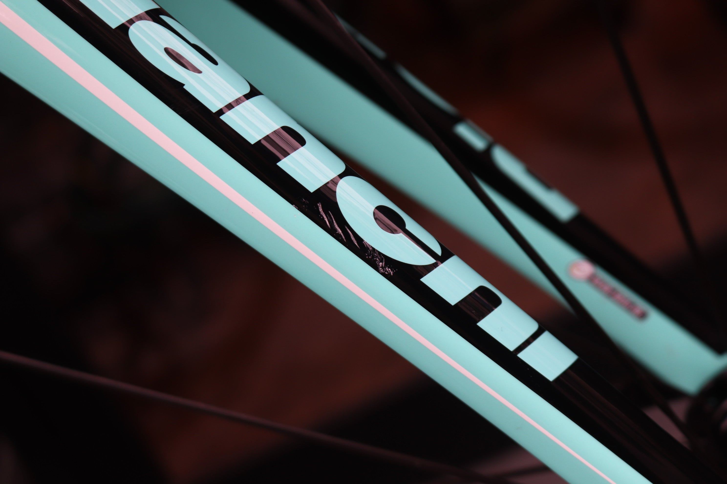 ビアンキ Bianchi アリア ARIA リム 2019 53サイズ シマノ 105 R7000