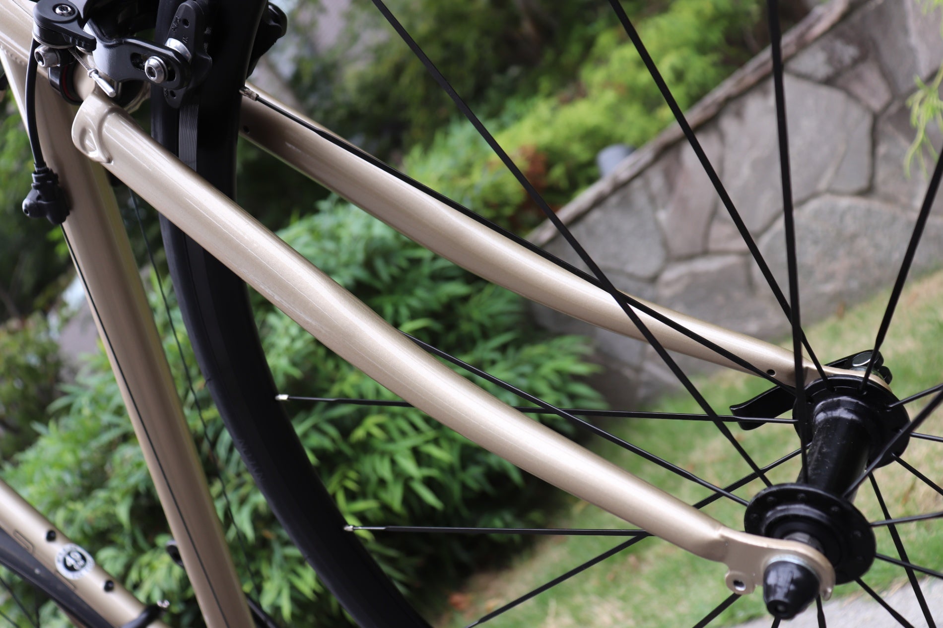 フジ FUJI バラッドオメガ BALLAD Ω 2022 49サイズ シマノ ソラ