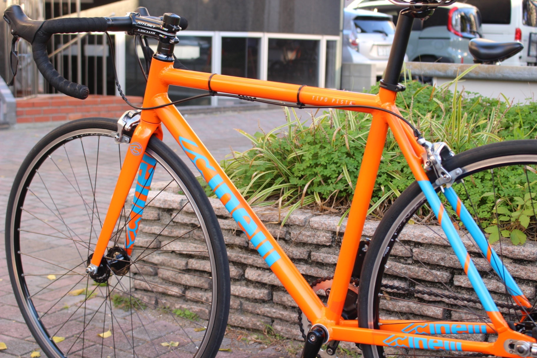 チネリCINELLI ティーポ ピスタ TIPO PISTA 2018 Sサイズ アルミ