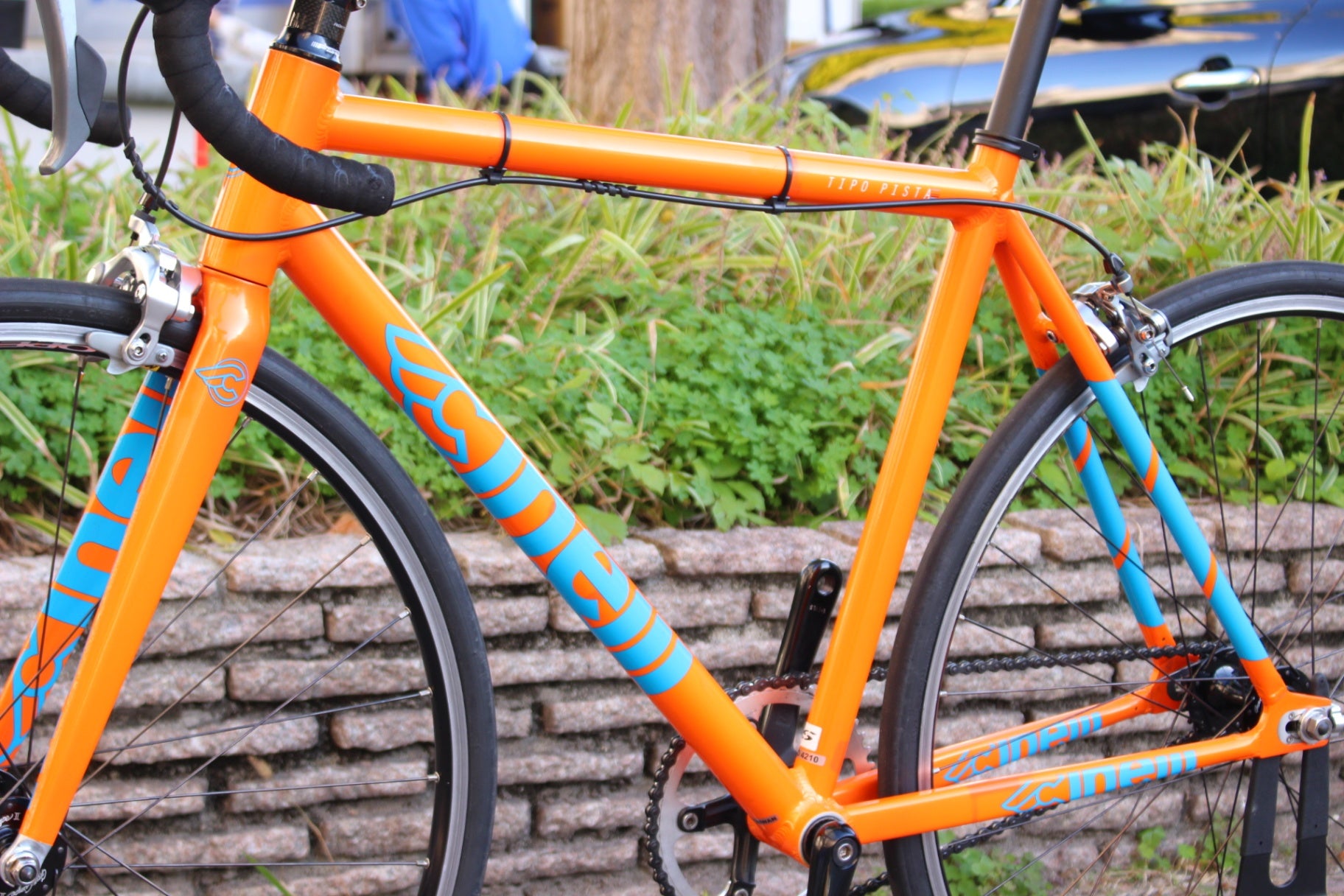 チネリCINELLI ティーポ ピスタ TIPO PISTA 2018 Sサイズ アルミ