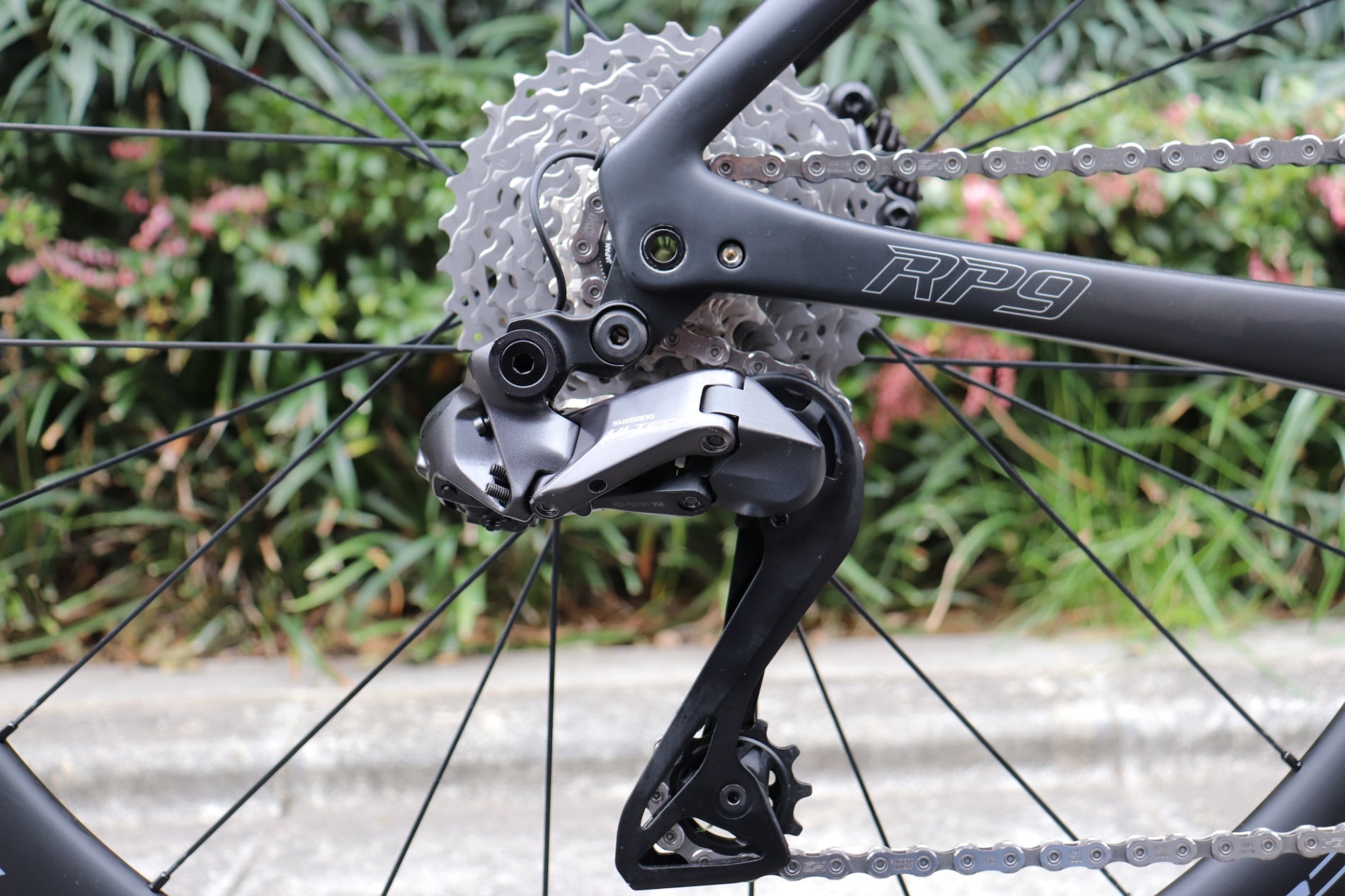 ブリヂストン アンカー BRIDGESTONE ANCHOR RP9 2022 490サイズ シマノ