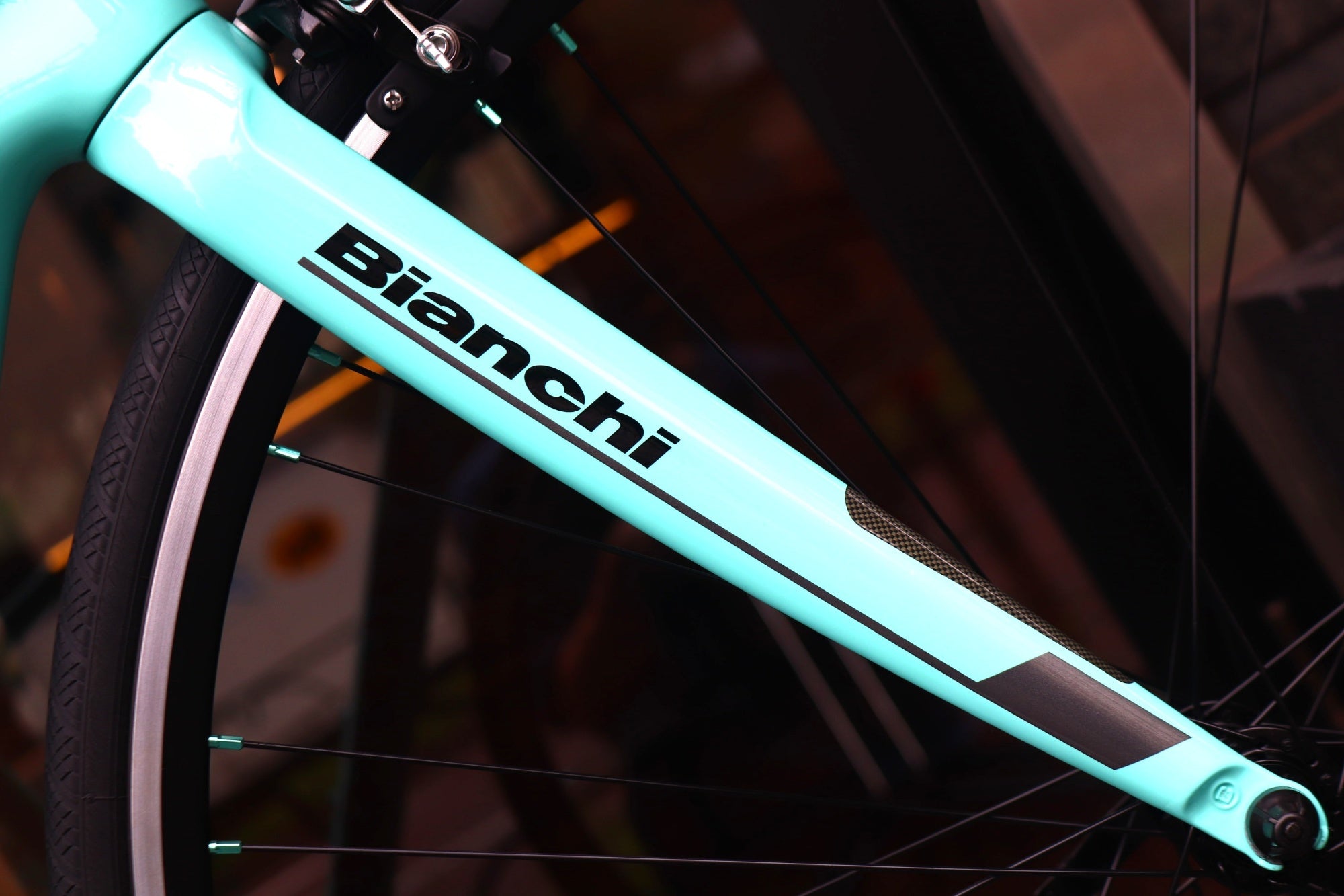 ビアンキ BIANCHI インテンソ INTENSO 2019モデル 50サイズ シマノ 105