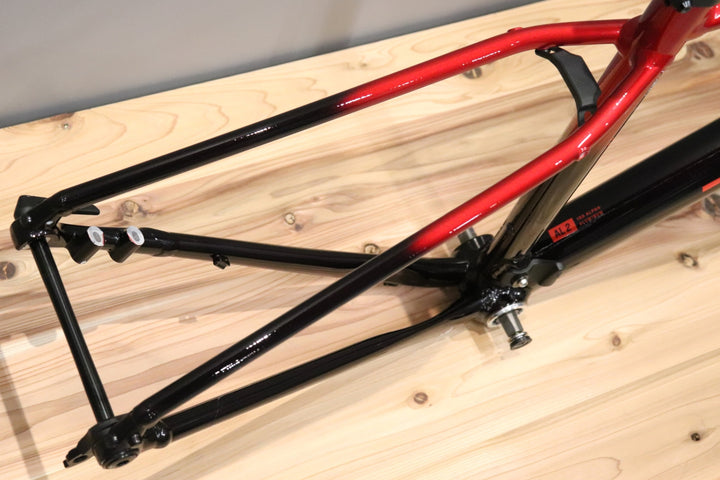 トレック TREK ドマーネ DOMANE AL2 Gen4 2024モデル 49サイズ アルミ ロードバイク フレームセット 【仙台店】