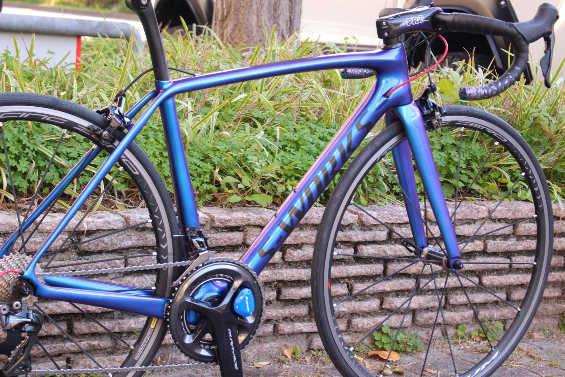 スペシャライズド SPECIALIZED ターマック S-WORKS TARMAC SL5 2016 52