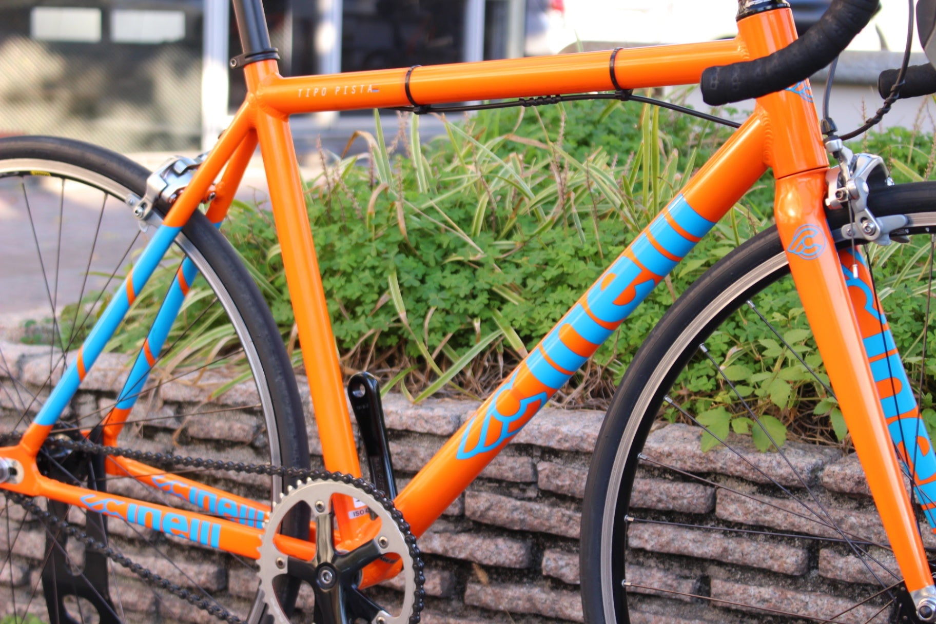 チネリCINELLI ティーポ ピスタ TIPO PISTA 2018 Sサイズ アルミ