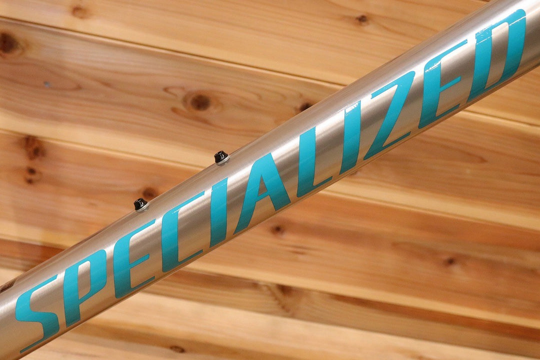 スペシャライズド SPECIALIZED アレー スプリント ALLEZ SPRINT DISC 2019モデル 49サイズ アルミ ディスクブレーキ ロードバイク フレームセット 【広島店】