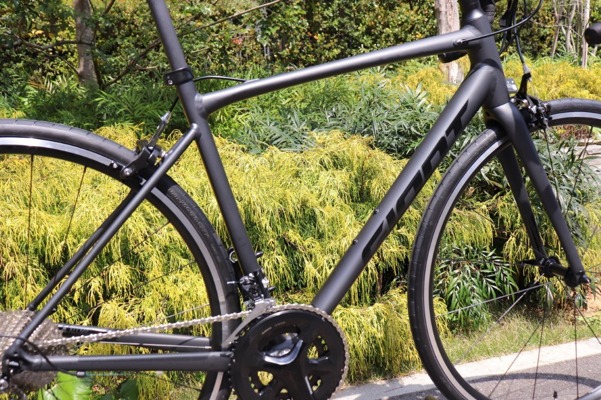 新品未使用 ジャイアント GIANT コンテンド CONTEND 0 2024 Mサイズ