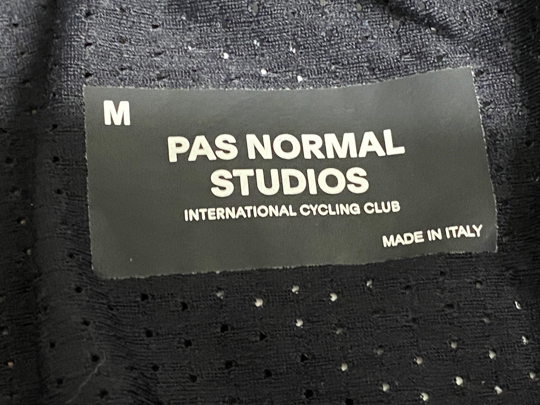 JY493 パスノーマルスタジオ PAS NORMAL STUDIOS Essential Thermal Bibs ビブショーツ パープル M 裏起毛