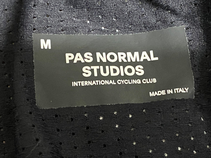 JY493 パスノーマルスタジオ PAS NORMAL STUDIOS Essential Thermal Bibs ビブショーツ パープル M 裏起毛