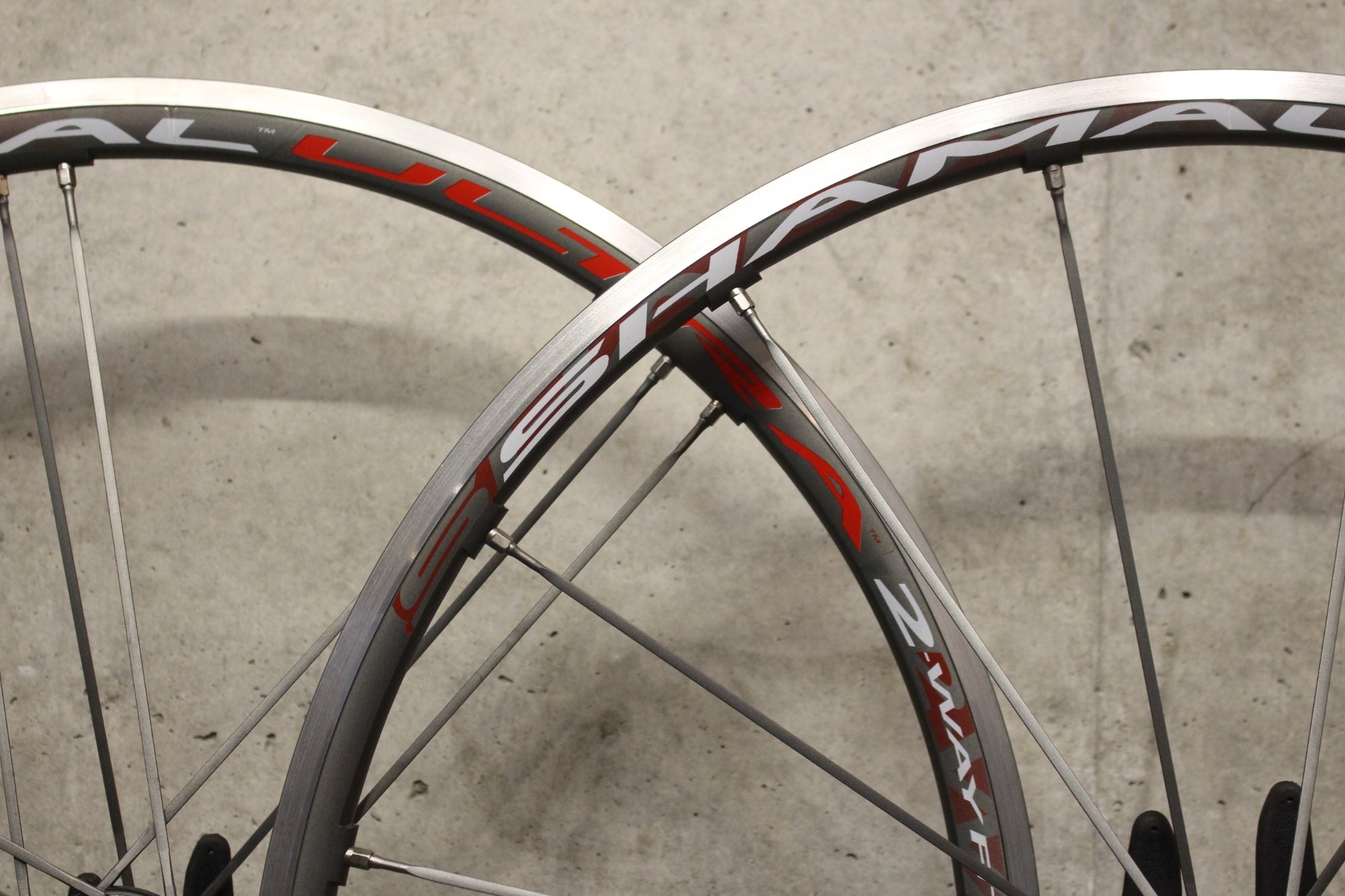 カンパニョーロ CAMPAGNOLO シャマルウルトラ チタンカラー SHAMAL
