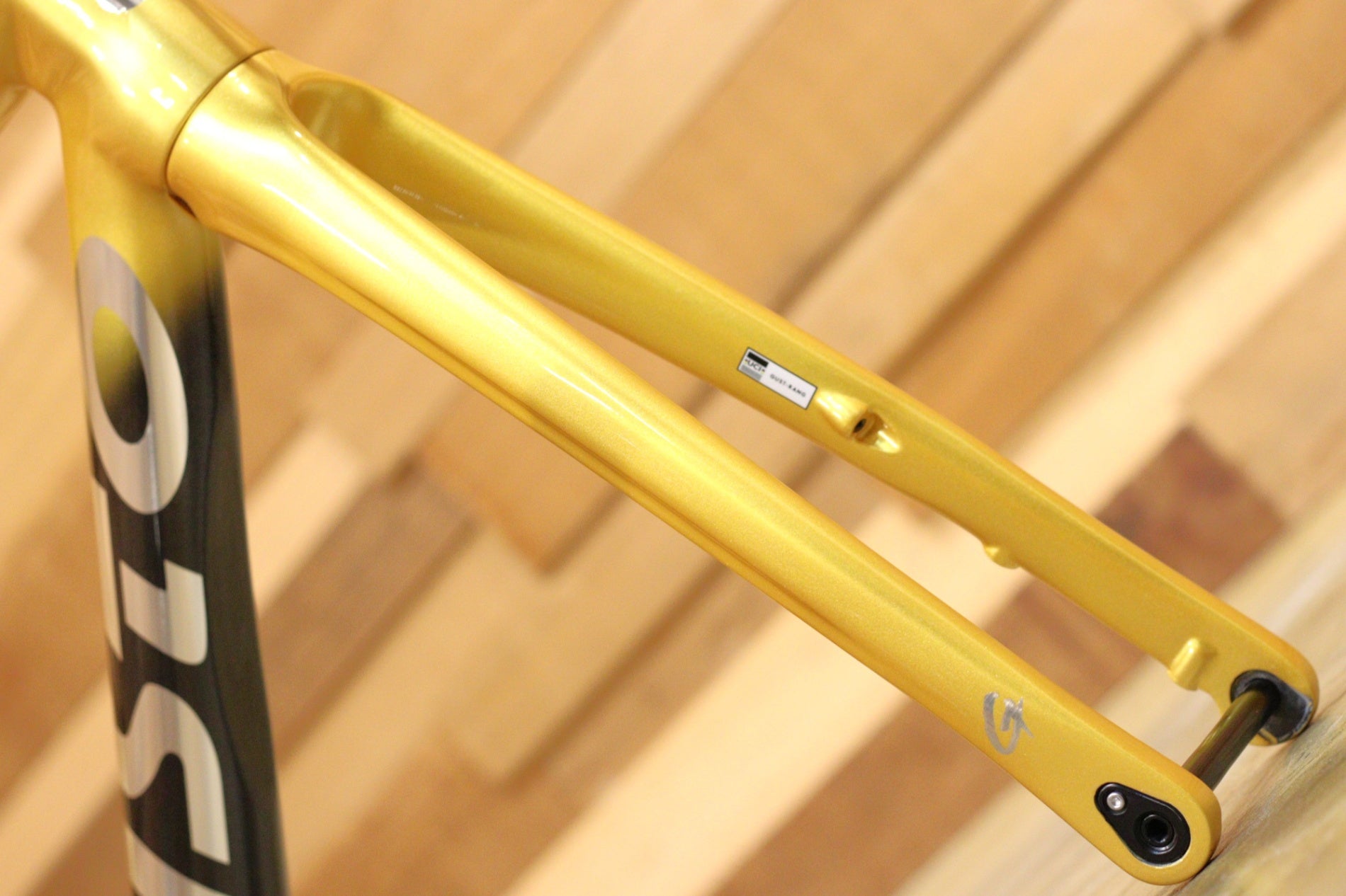 グスト GUSTO レンジャーエボ RANGER EVO DISC チームリミテッド