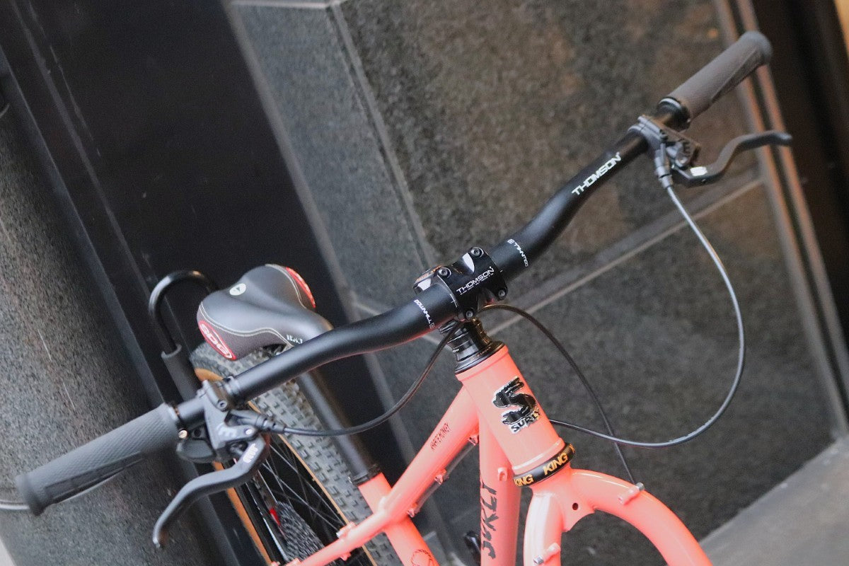 サーリー SURLY カラテモンキー KARATE MONKEY 2022モデル XSサイズ