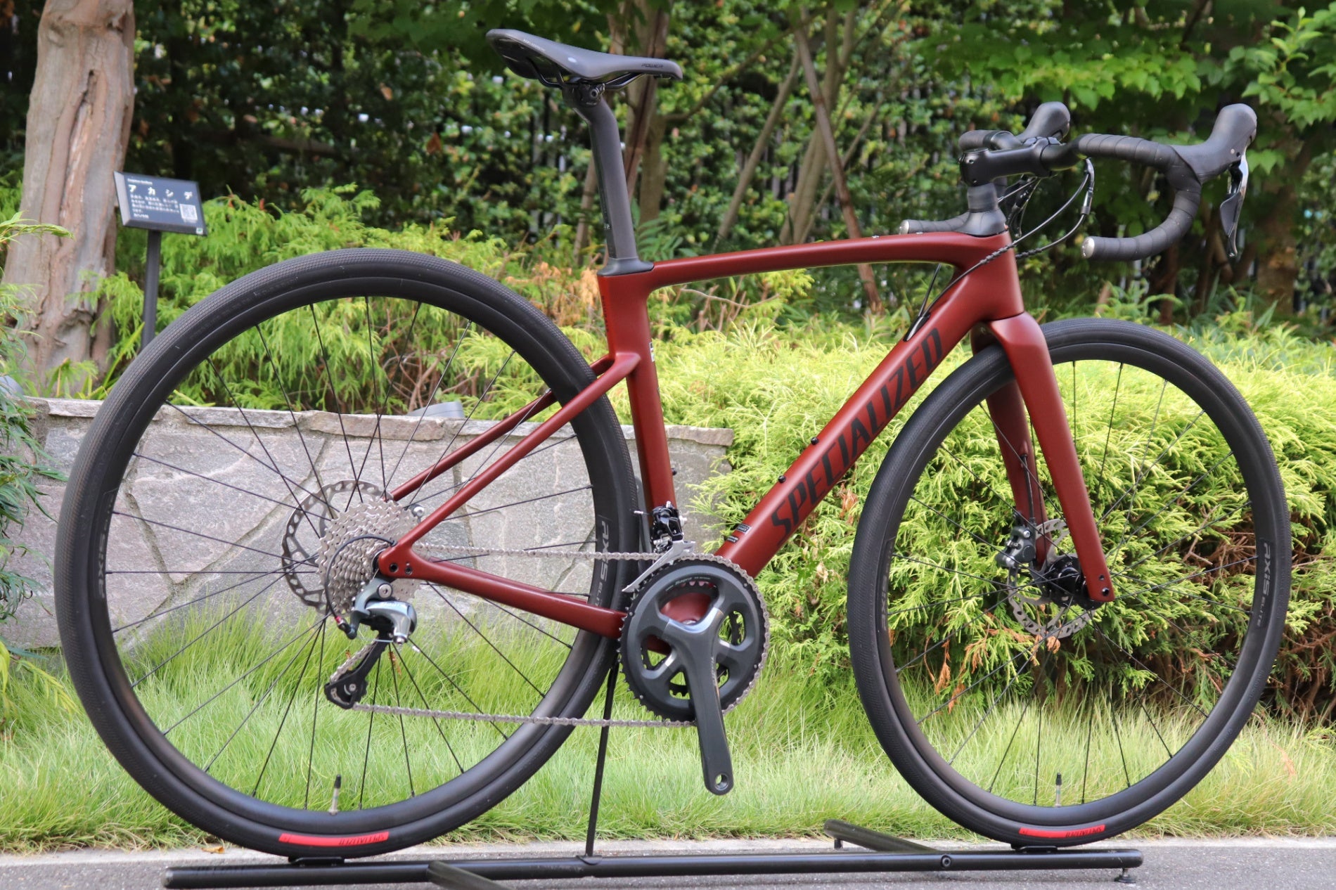 スペシャライズド SPECIALIZED ルーベ ROUBAIX SL8 2024年 52サイズ