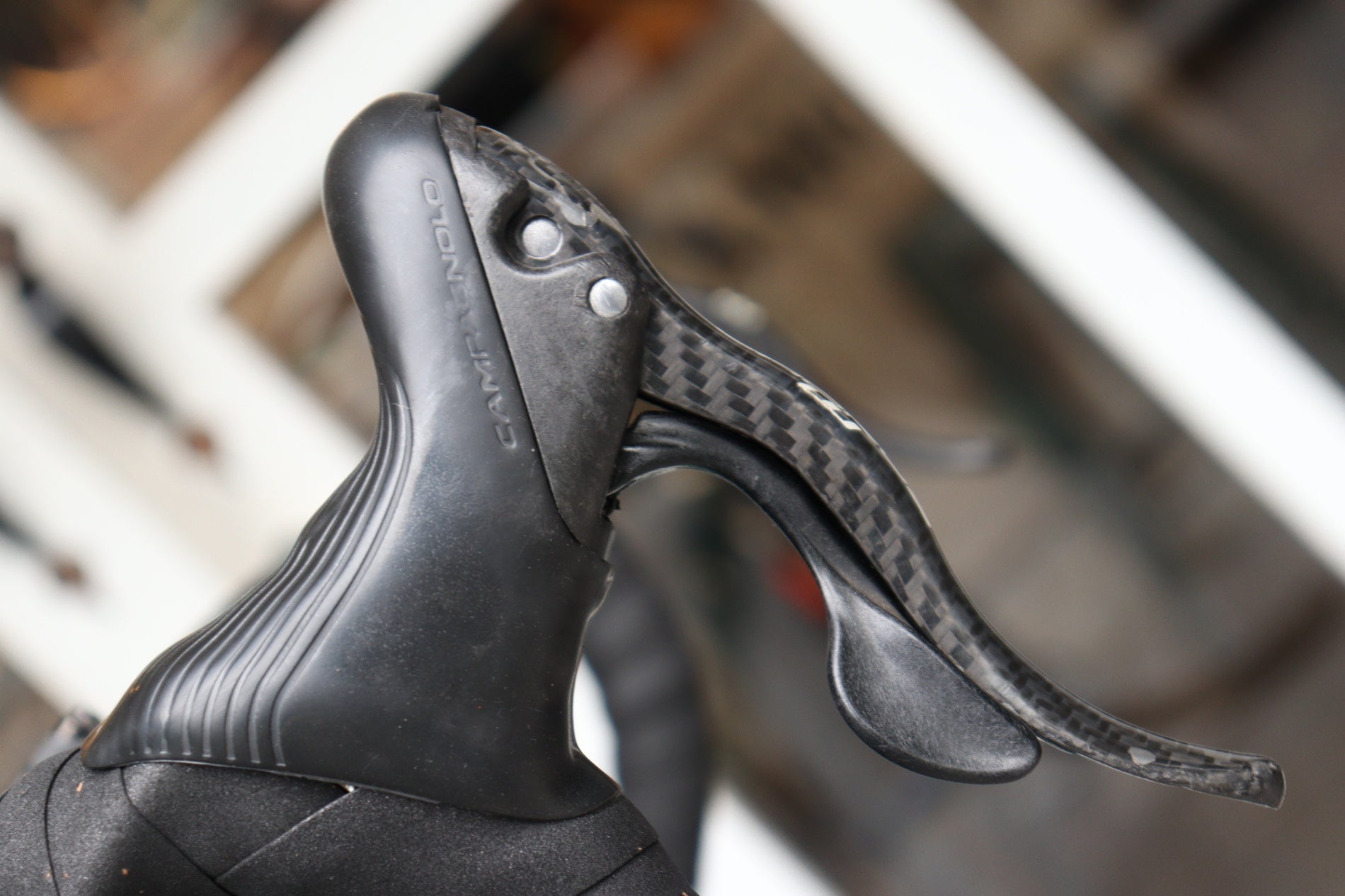 ビアンキ BIANCHI スペシャリッシマ SPECIALISSIMA 2020モデル 55