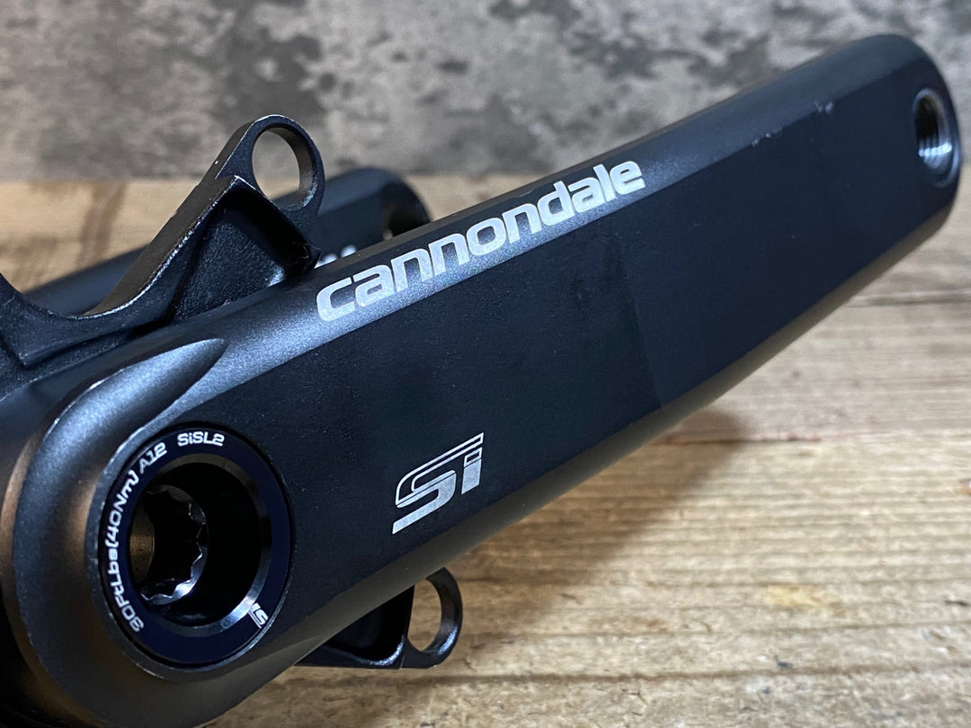 JQ420 ホログラム HOLLOWGRAM Si クランクアーム 175mm PF30 PCD110