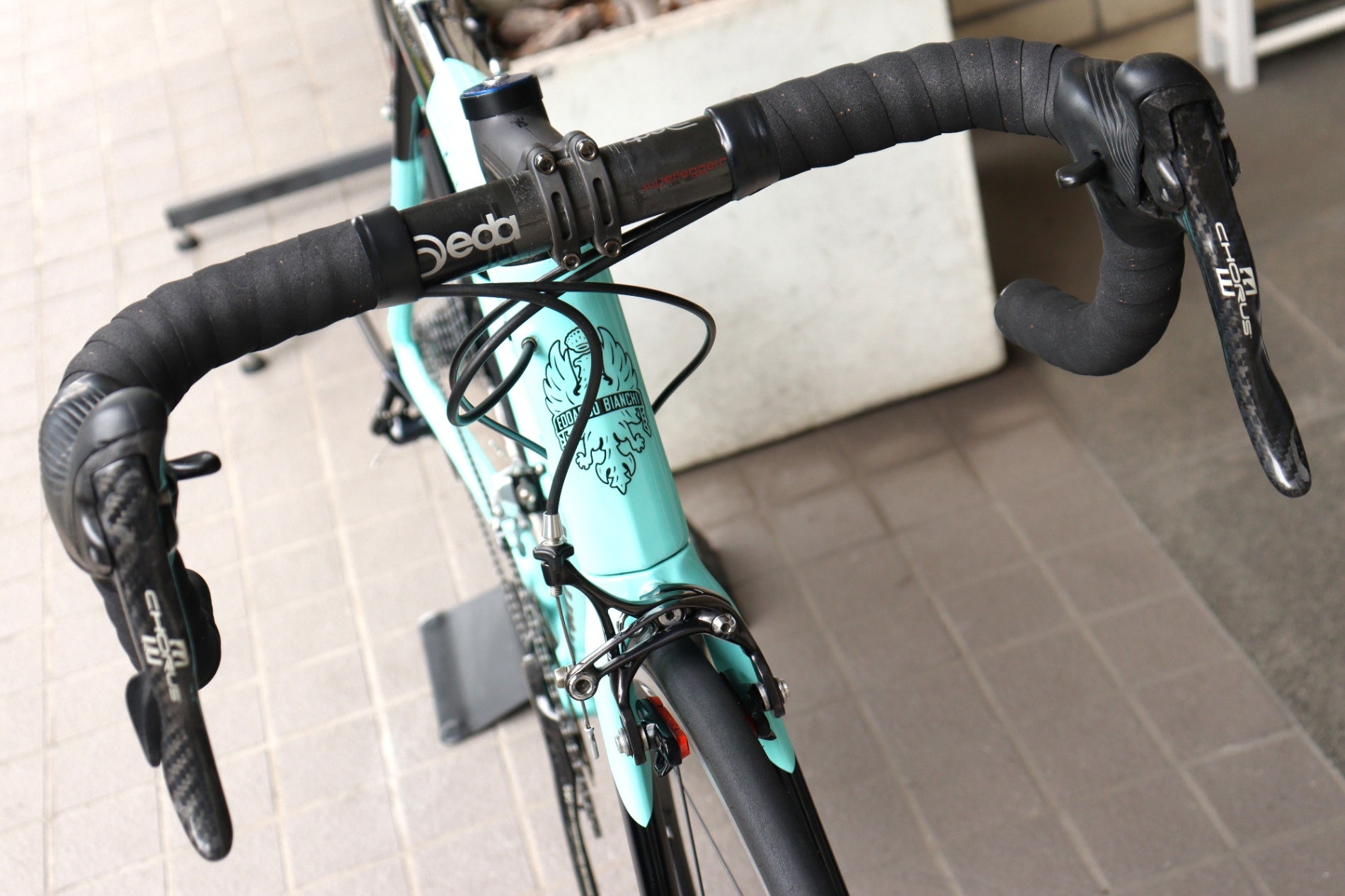 ビアンキ BIANCHI スペシャリッシマ SPECIALISSIMA 2020モデル 55