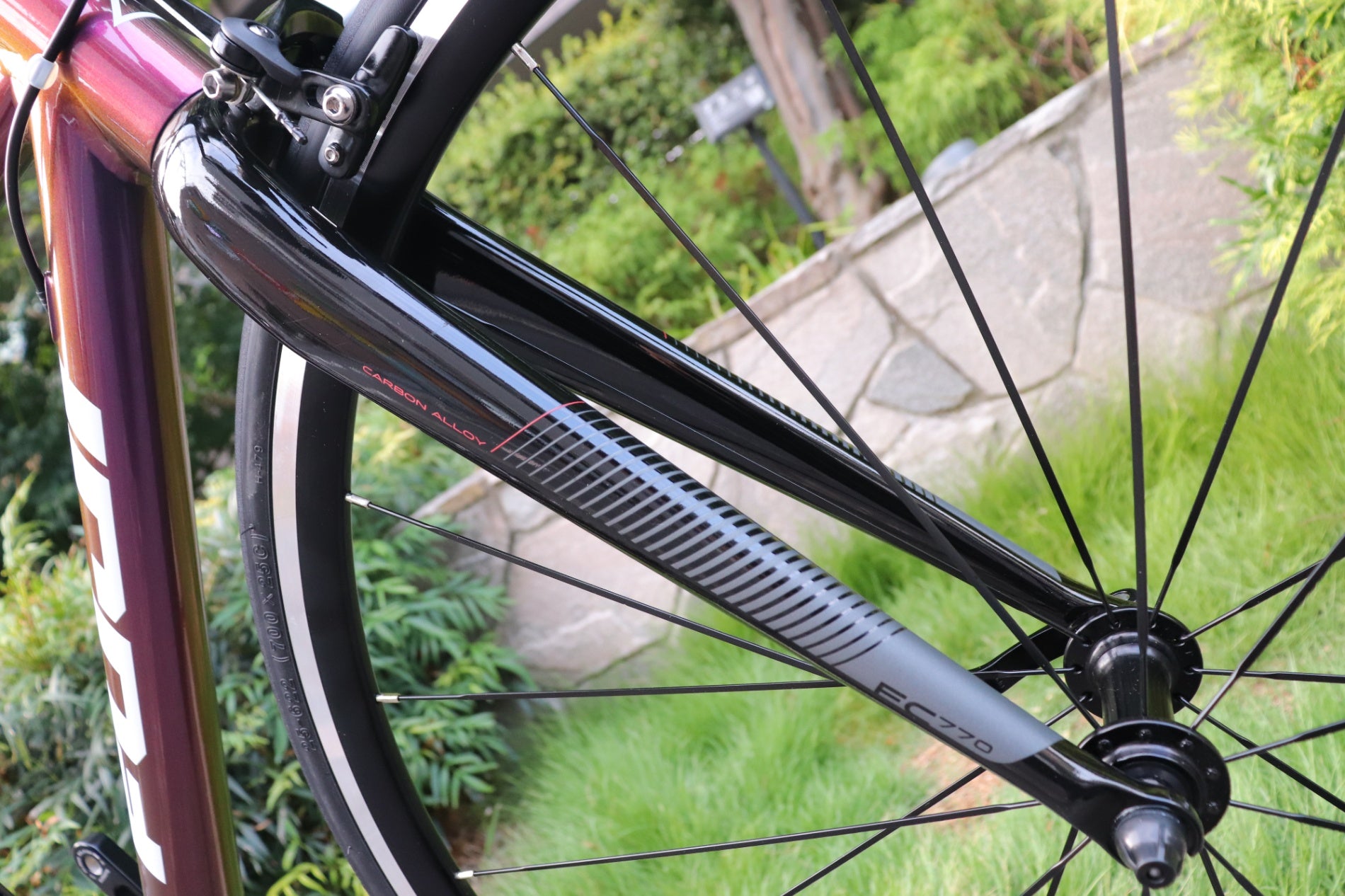 フジ FUJI ナオミ NAOMI 2023モデル 49サイズ シマノ ソラ R3000 9S