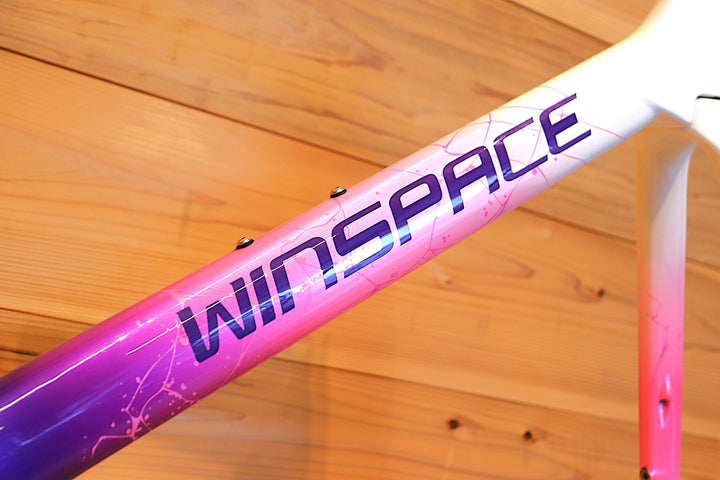 ウィンスペース WINSPACE アジャイル AGILE Mサイズ 2025モデル カーボン ロードバイク フレームセット【さいたま浦和店】