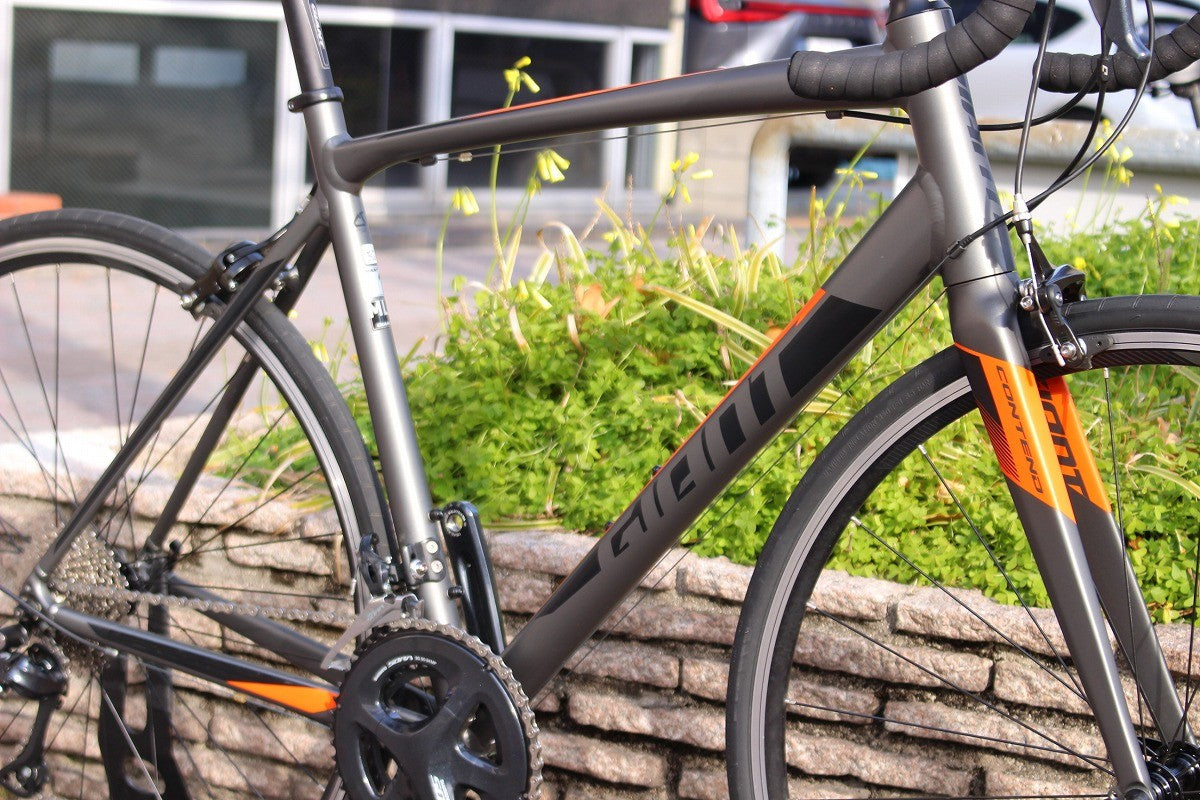 ジャイアント GIANT コンテンド CONTEND 1 2019 MLサイズ ソラ R3000