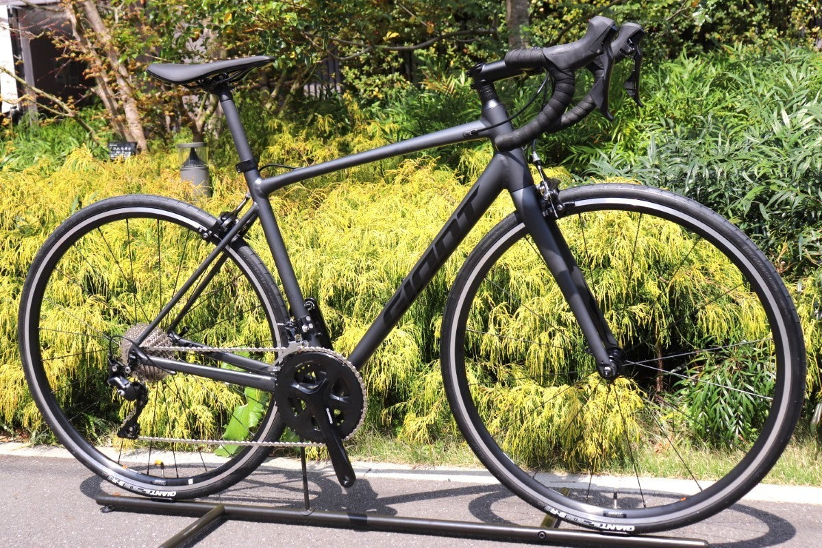 新品未使用 ジャイアント GIANT コンテンド CONTEND 0 2024 Mサイズ