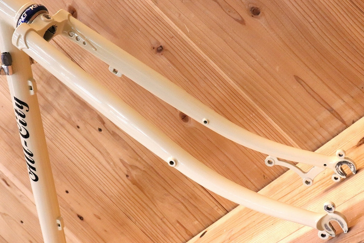 オールシティ ALL CITY スペースホース SPACE HORSE DISC 49