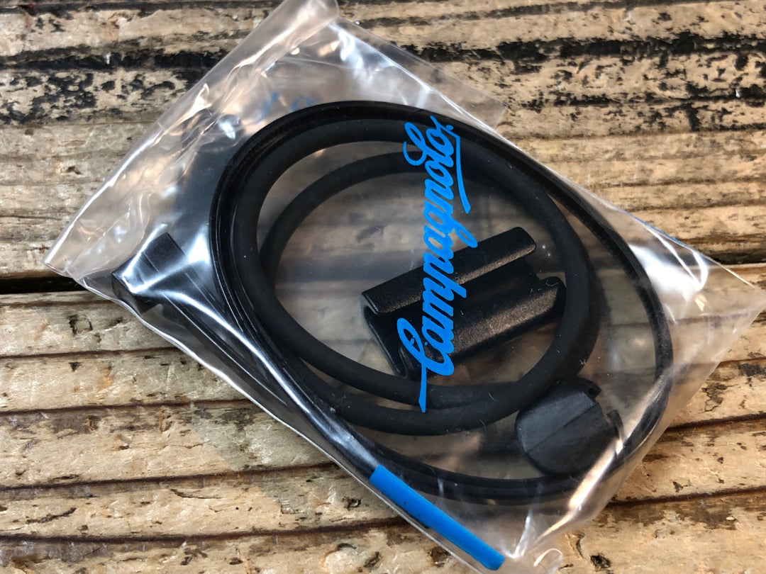 JO241 カンパニョーロ CAMPAGNOLO レコード RECORD IF14-REEPS V2 インターフェイス EPS